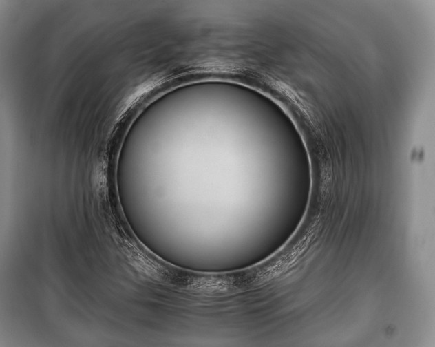 X0000100771307200806261534