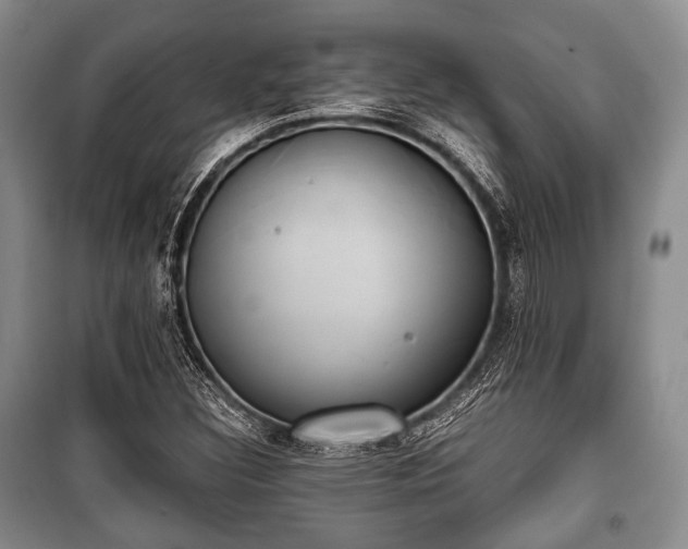 X0000100771308200806261534