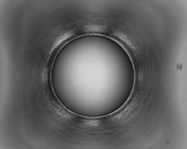 X0000100771309200806261534