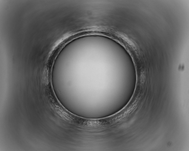 X0000100771310200806261534