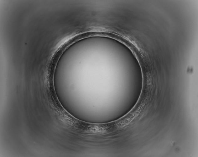 X0000100771311200806261534