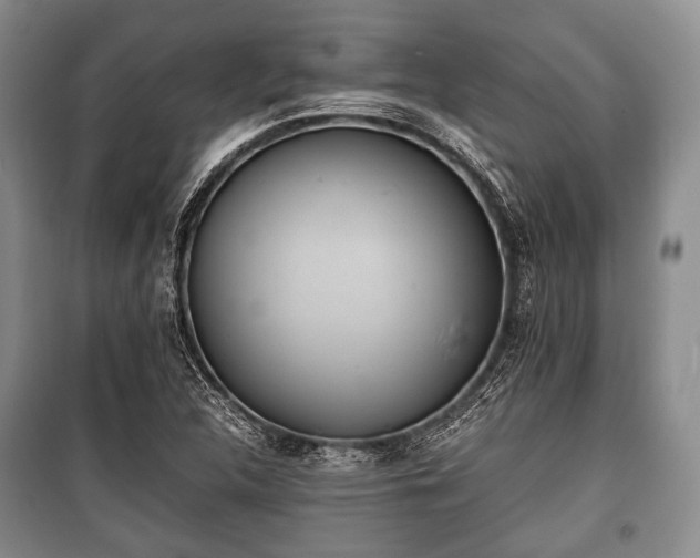 X0000100771312200806261534