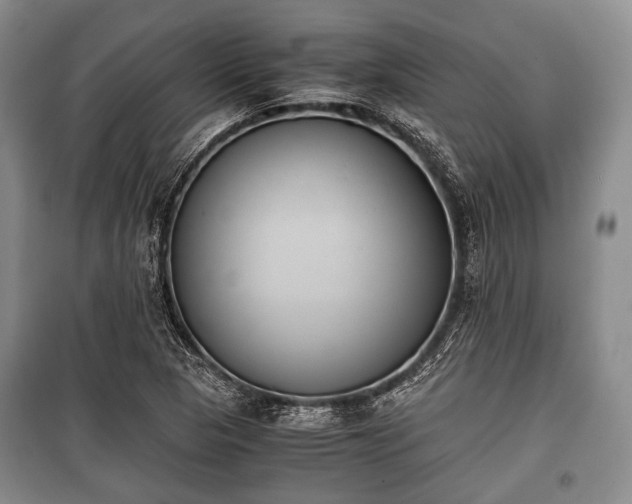 X0000100771313200806261534