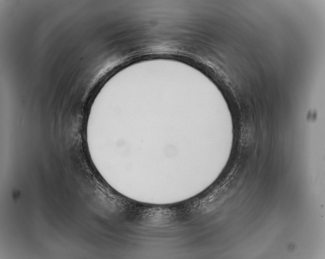 X0000100771314200806261534