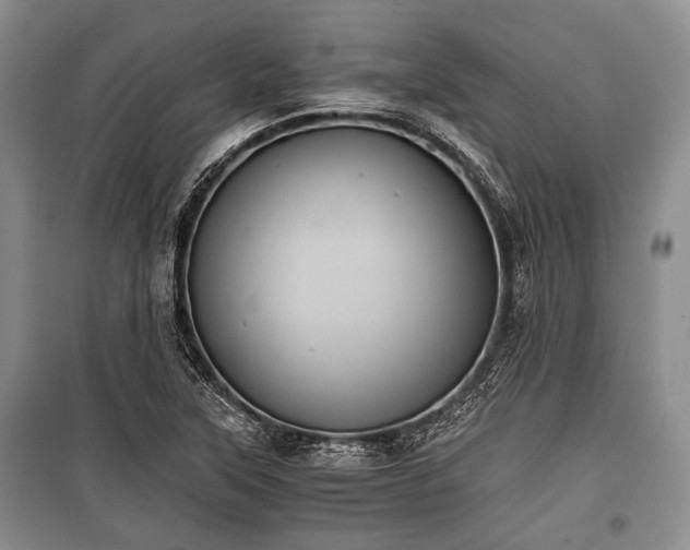 X0000100771315200806261534