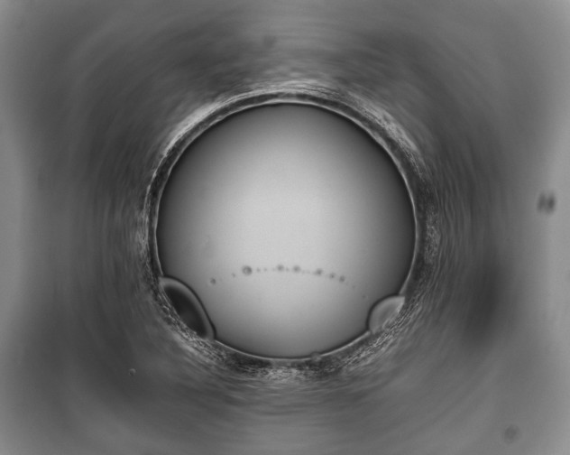 X0000100771316200806261534