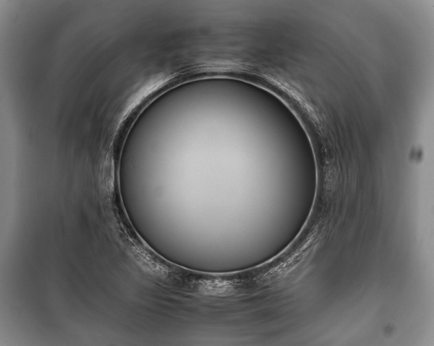 X0000100771317200806261534