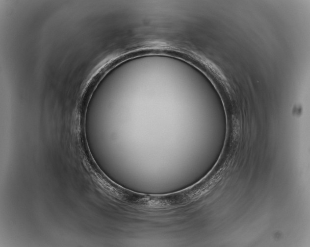 X0000100771318200806261534