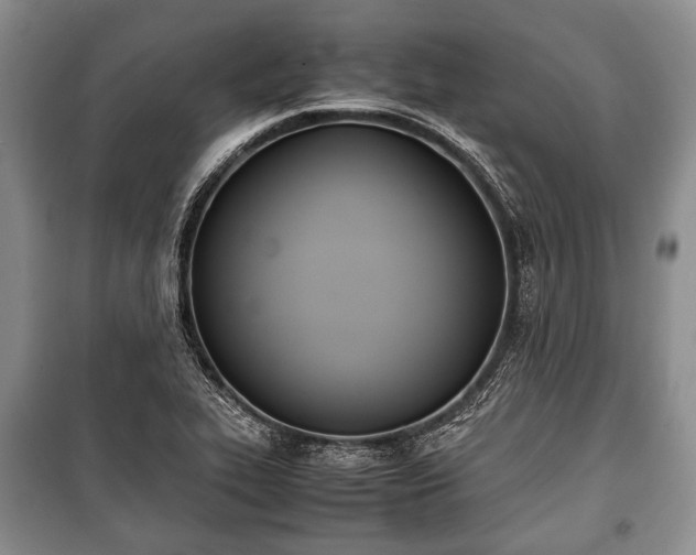 X0000100771319200806261534