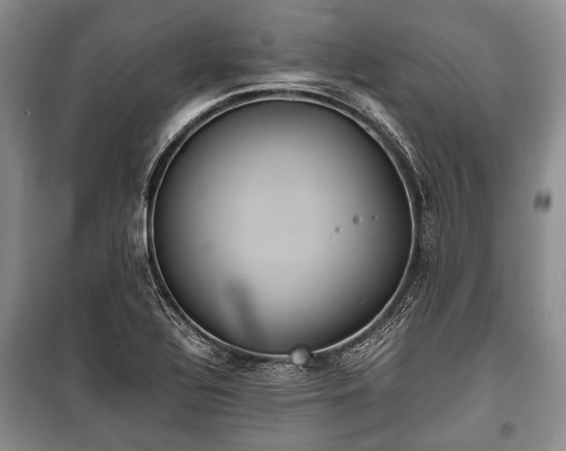 X0000100771320200806261534