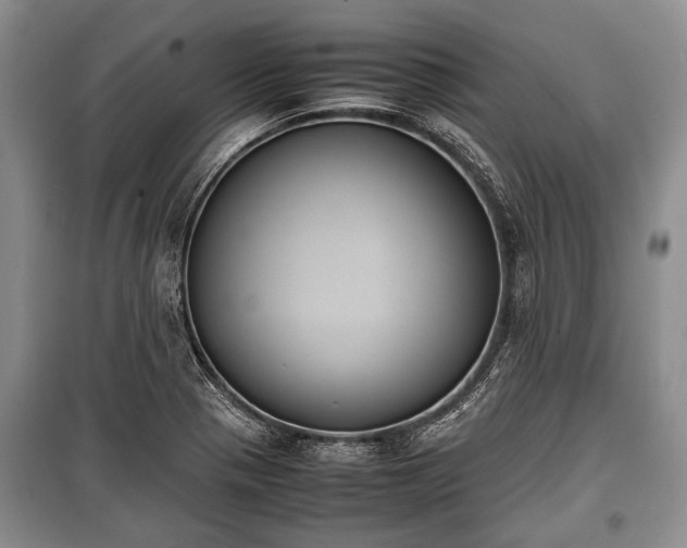 X0000100771321200806261534