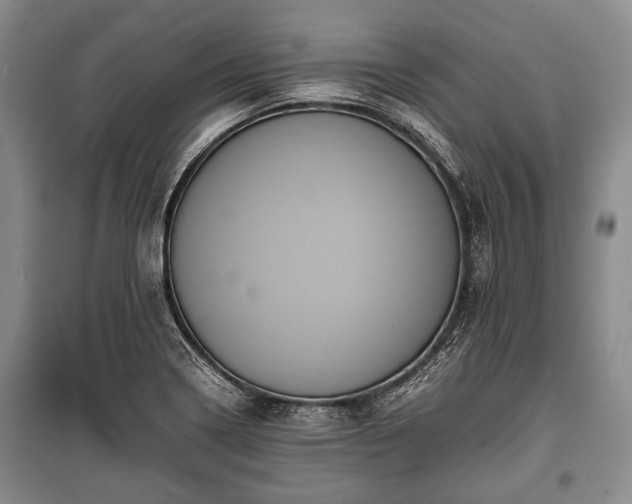 X0000100771322200806261534