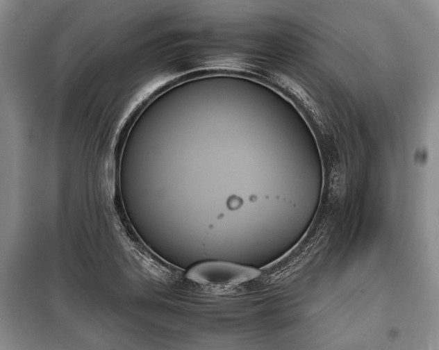 X0000100771323200806261534