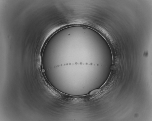 X0000100771324200806261534