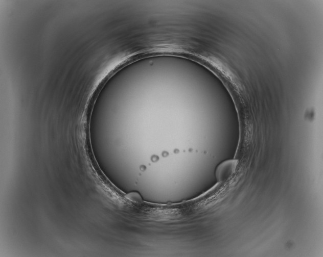 X0000100771325200806261534