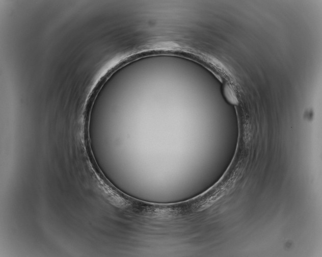 X0000100771326200806261534