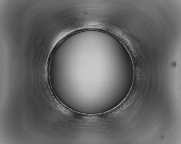 X0000100771328200806261534