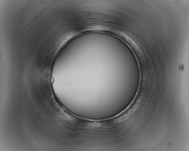 X0000100771329200806261534
