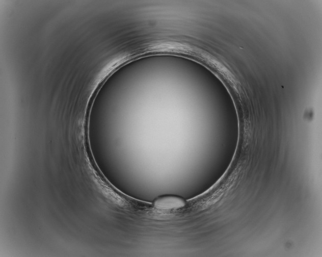 X0000100771330200806261534
