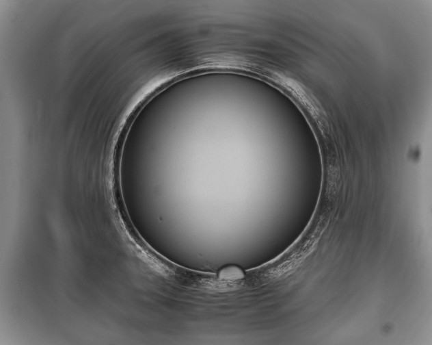 X0000100771331200806261534