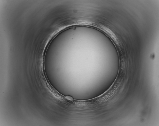 X0000100771332200806261534