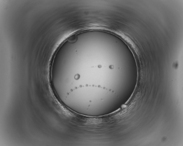 X0000100771333200806261534