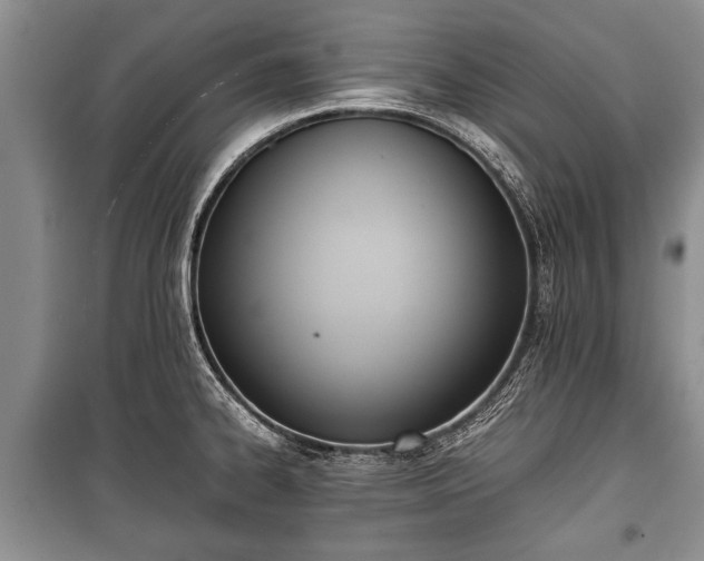 X0000100771334200806261534