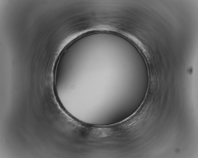 X0000100771335200806261534