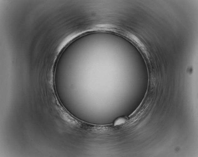 X0000100771336200806261534