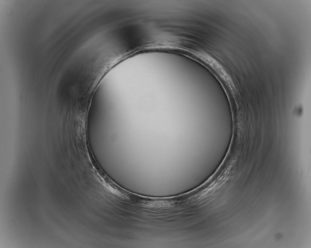 X0000100771337200806261534