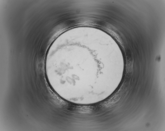 X0000100771338200806261534