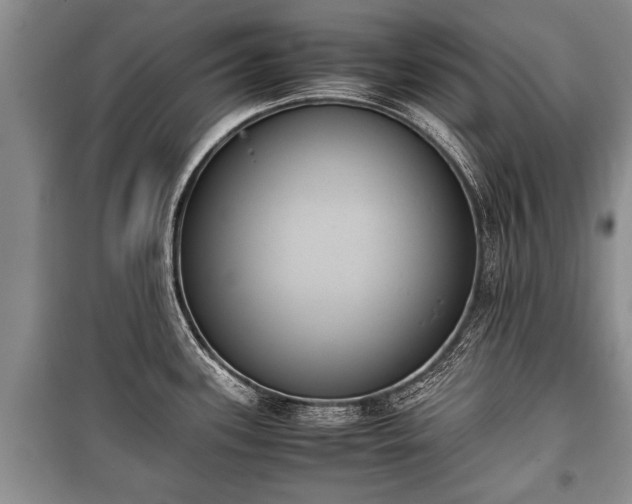X0000100771339200806261534