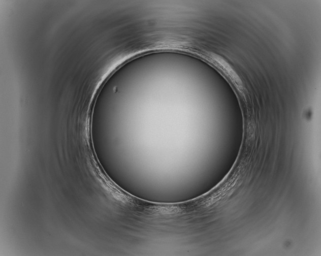X0000100771340200806261534