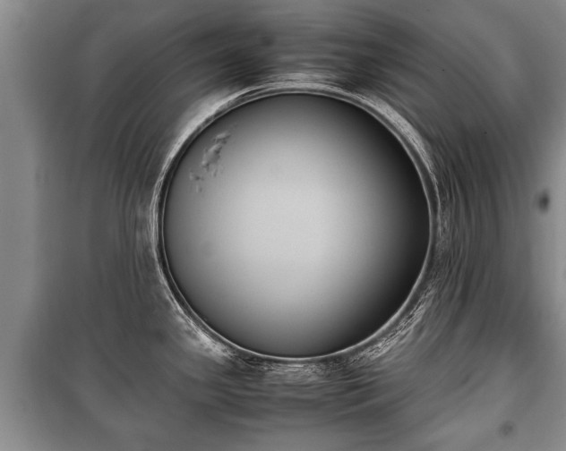 X0000100771341200806261534