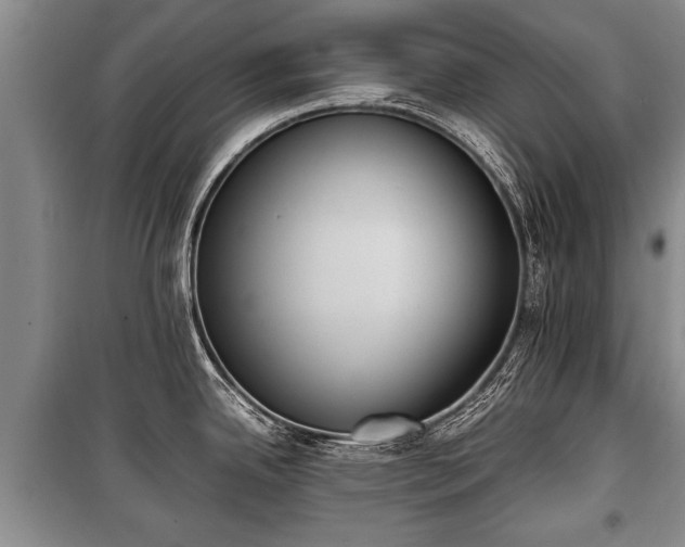X0000100771342200806261534