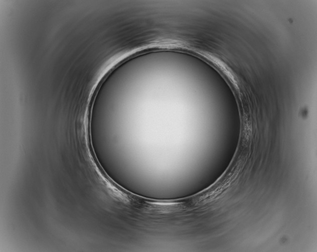 X0000100771343200806261534
