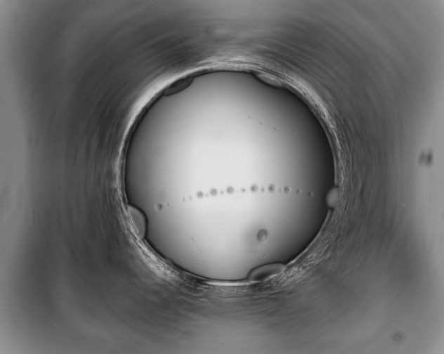 X0000100771344200806261534