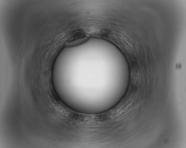 X0000100771345200806261534