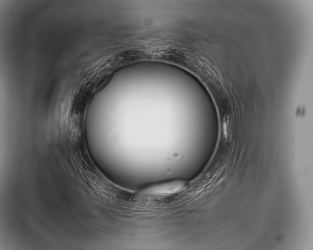 X0000100771347200806261533