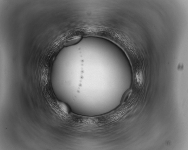X0000100771348200806261533