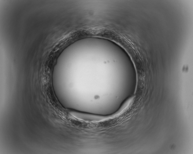 X0000100771349200806261533