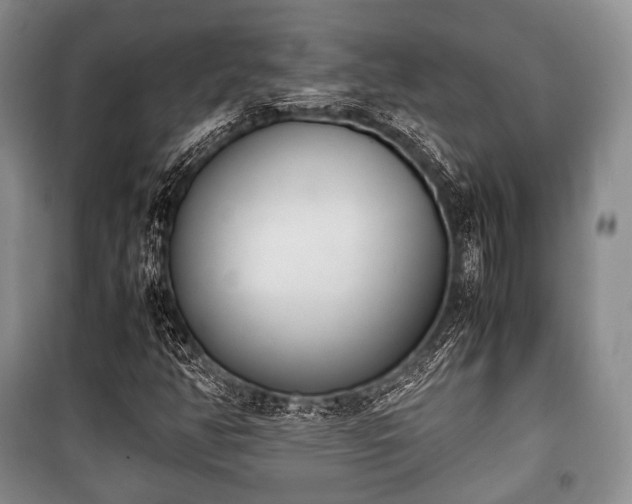 X0000100771350200806261533