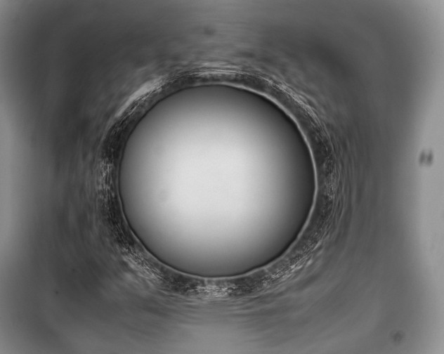 X0000100771351200806261533