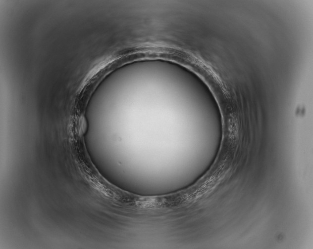 X0000100771352200806261533