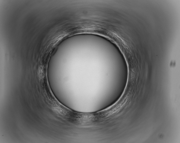 X0000100771353200806261533