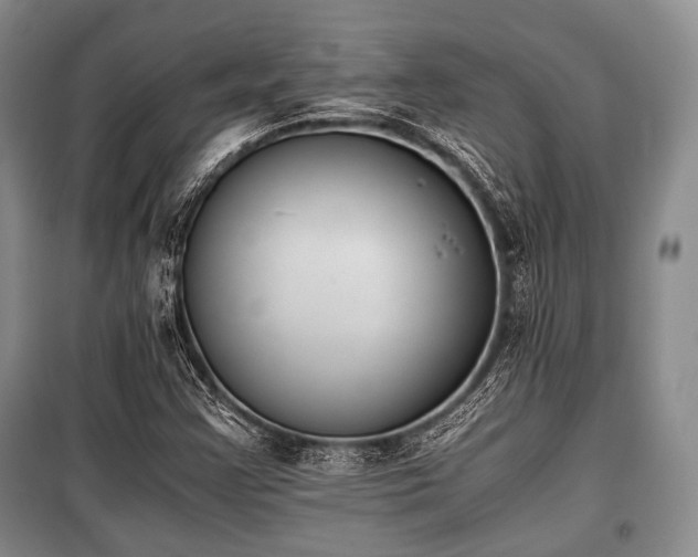 X0000100771355200806261533