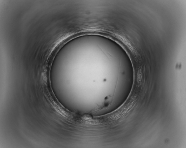 X0000100771356200806261533