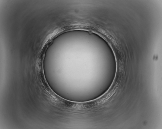 X0000100771357200806261533