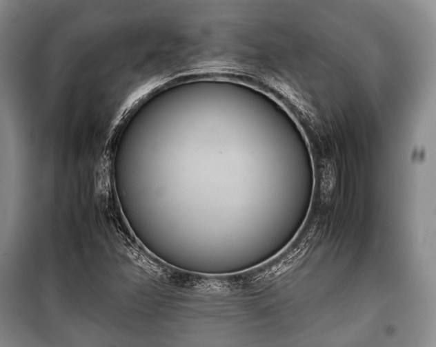 X0000100771358200806261533