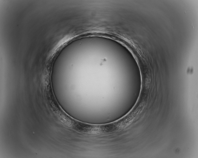 X0000100771359200806261533